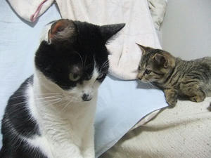 DSCF6436.JPG