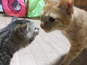 DSCF6443.JPG