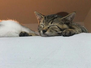 DSCF6337.JPG