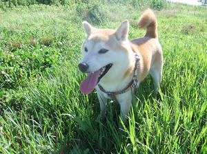 DSCF2852.JPG