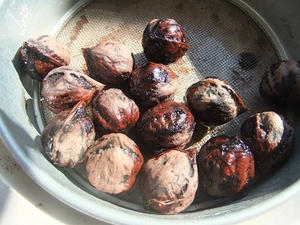 DSCF6475.JPG