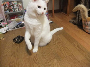 DSCF6500.JPG
