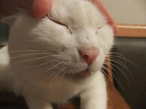 DSCF6490.JPG