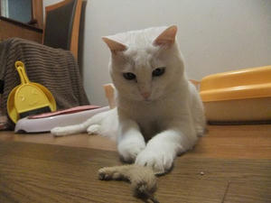 DSCF6503.JPG