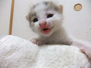 DSCF6510.JPG