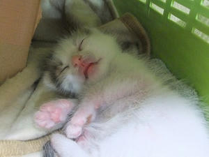 DSCF6517.JPG