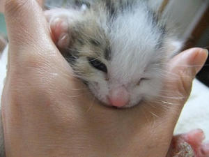 DSCF6550.JPG