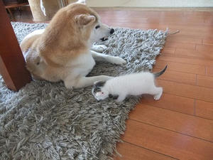 DSCF6575.JPG