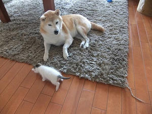 DSCF6573.JPG