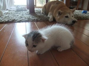 DSCF6605.JPG
