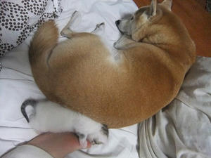 DSCF6627.JPG