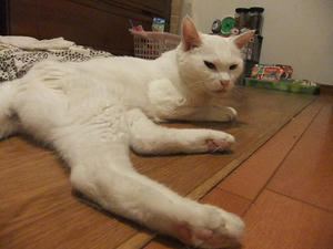 DSCF6382.JPG