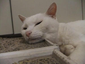 DSCF6201.JPG