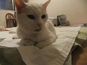 DSCF5908.JPG