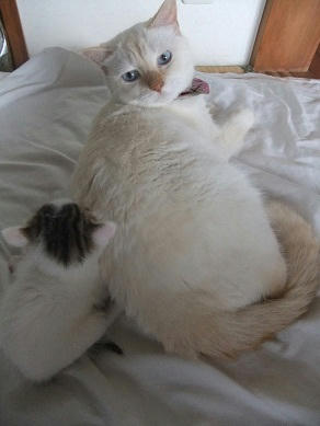 DSCF6634.JPG