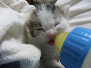 DSCF6565.JPG