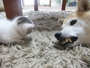 DSCF6695.JPG