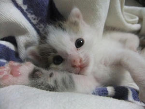 DSCF6597.JPG