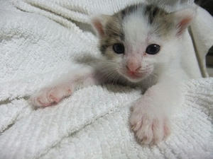 DSCF6611.JPG
