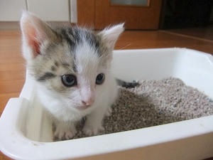 DSCF6733.JPG