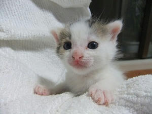 DSCF6613.JPG
