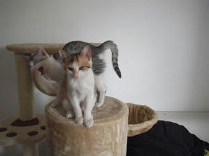 DSCF0275.JPG