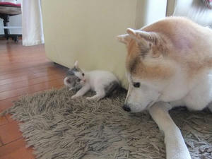 DSCF6706.JPG
