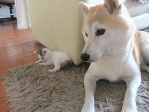 DSCF6705.JPG