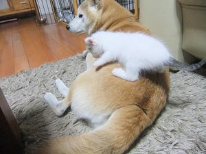 DSCF6686.JPG