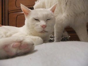 DSCF6845.JPG