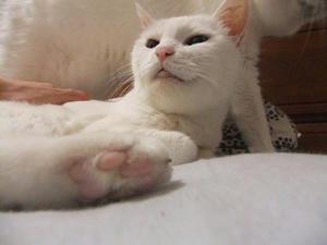 DSCF6844.JPG