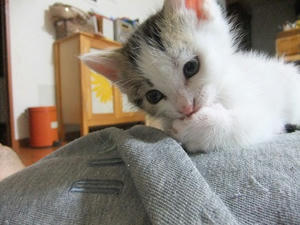 DSCF6756.JPG