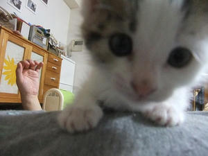 DSCF6757.JPG