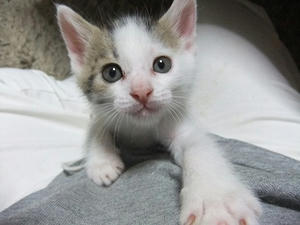 DSCF6830.JPG