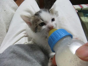 DSCF6840.JPG
