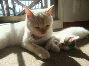 DSCF6872.JPG
