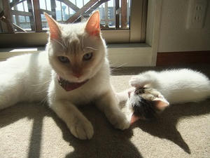 DSCF6871.JPG