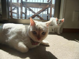 DSCF6863.JPG