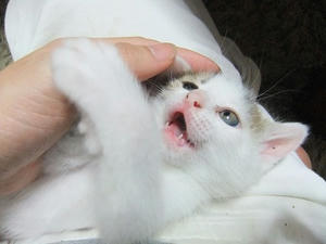 DSCF6824.JPG