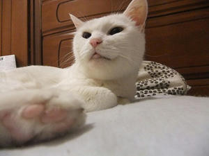 DSCF6846.JPG