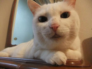 DSCF6739.JPG