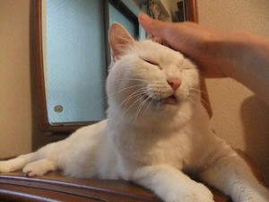 DSCF6741.JPG