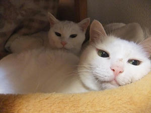 DSCF6762.JPG