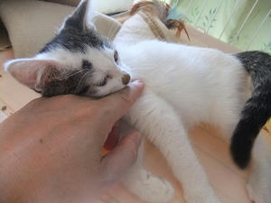 DSCF6798.JPG