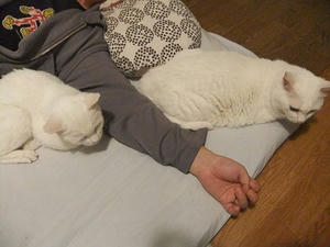 DSCF7029.JPG