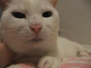 DSCF6917.JPG