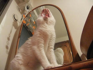 DSCF5904.JPG