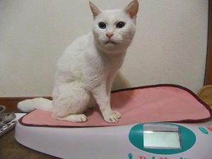 DSCF7125.JPG
