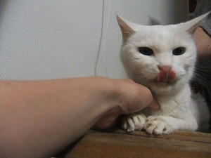 DSCF7102.JPG