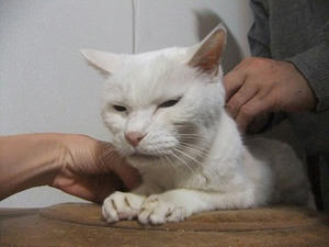 DSCF7098.JPG